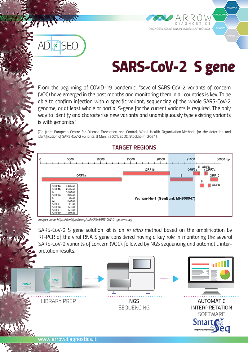 SARS-CoV-2 S gene