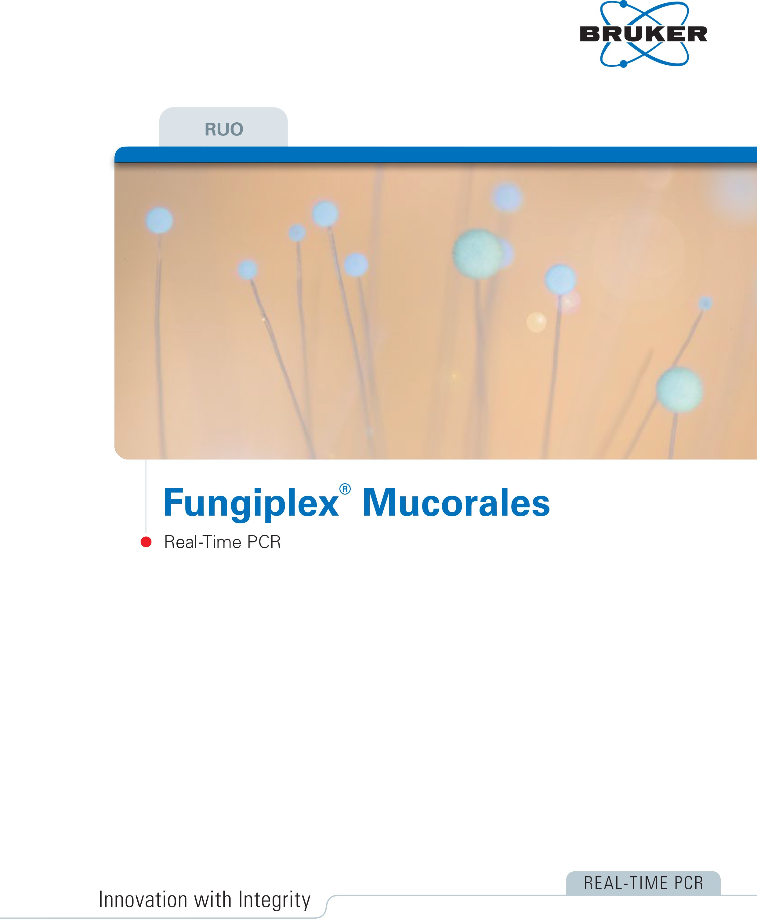 Fungiplex® Mucorales RUO Real-Time PCR Kit