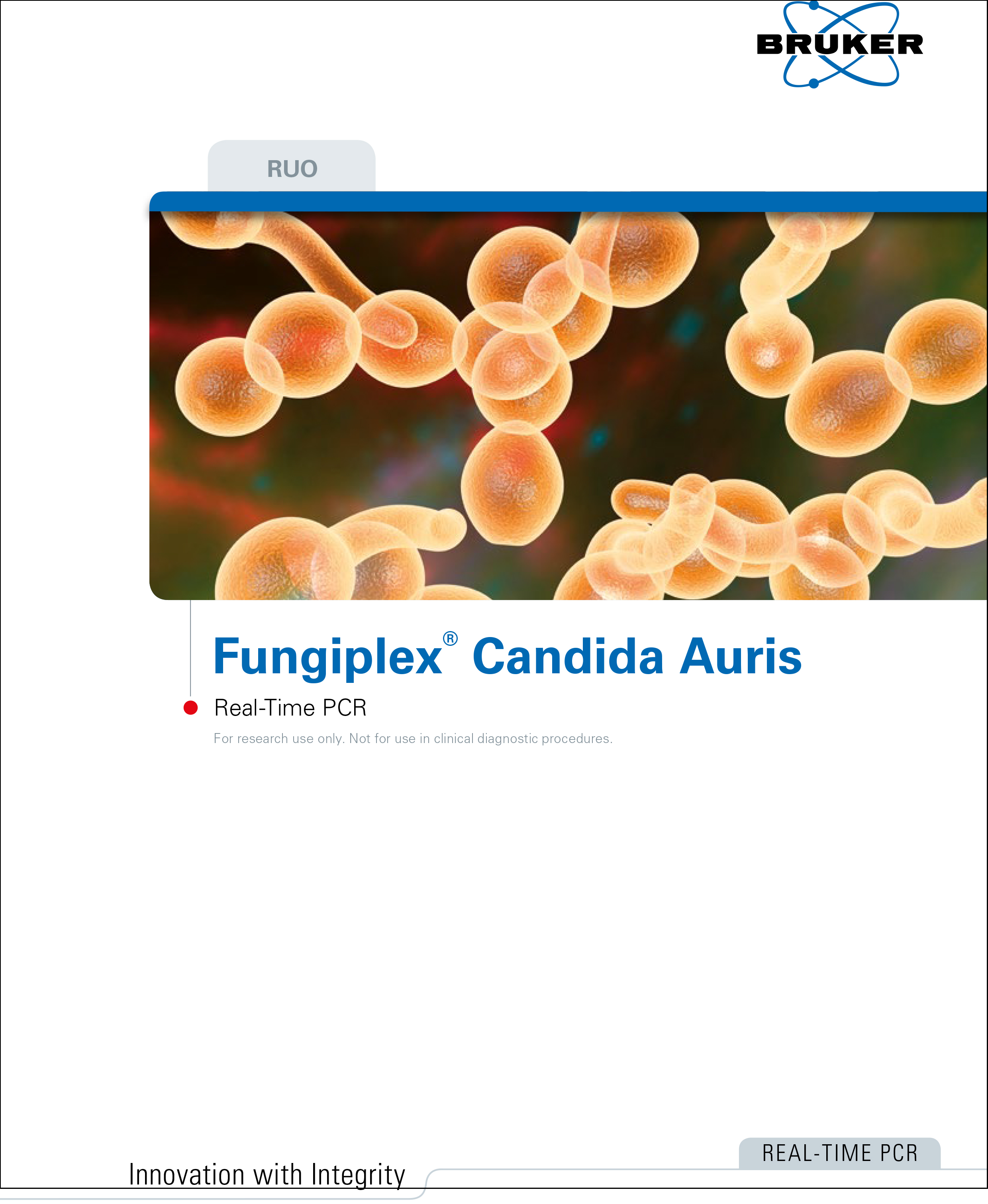 Fungiplex® Candida Auris RUO Real-Time PCR Kit