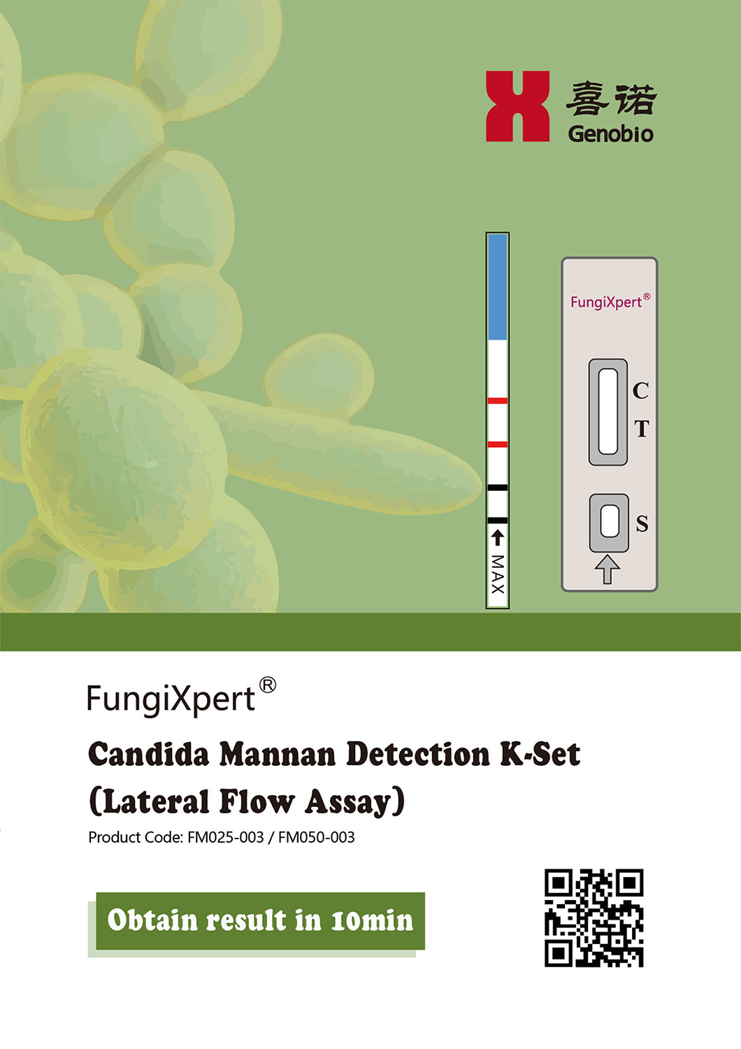 FungiXpert® Candida Mannan Detection K-Set (Lateral Flow Assay)