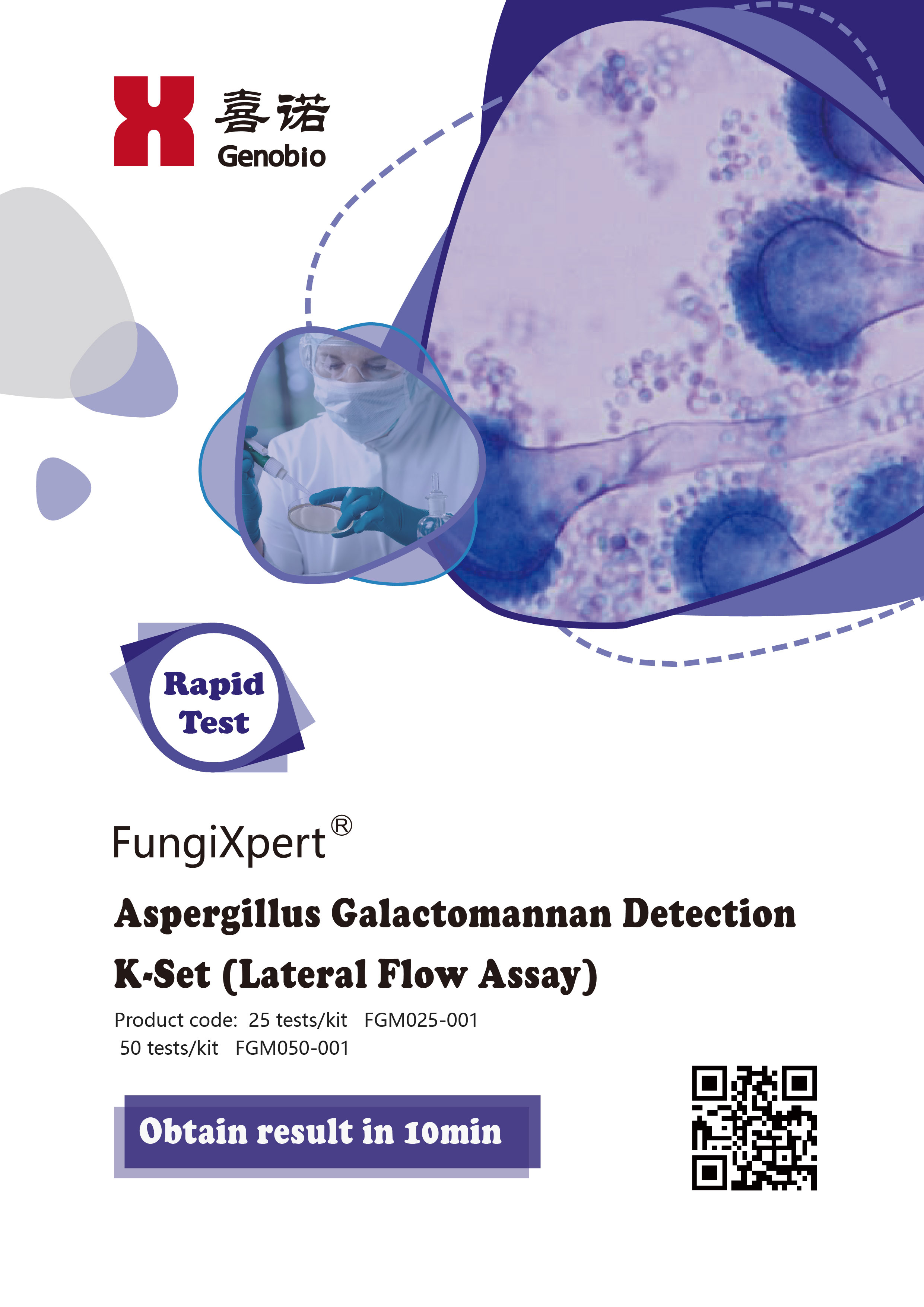 FungiXpert® <em>Aspergillus</em> Galactomannan Detection K-Set (Lateral Flow Assay)
